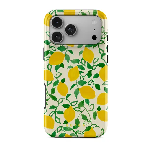 iPhone 17 Pro Max Case, Achromatic | BURGA
